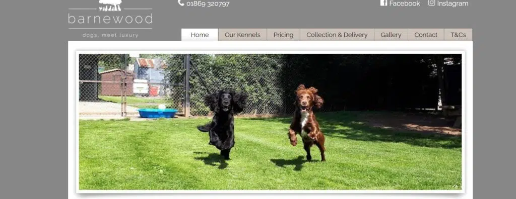 Barnewood Boarding Kennels- best dog daycares in oxford